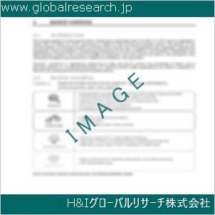 グローバルリサーチ調査資料のイメージ